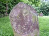 image of grave number 219408